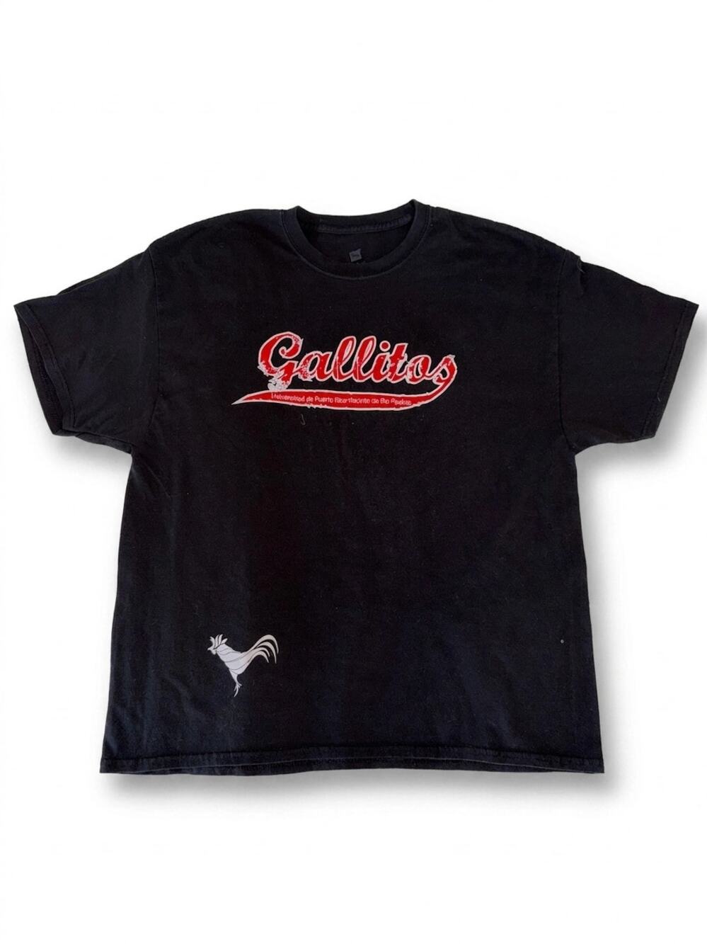 Hanes Charcoal Graphic Tee | Size XL | Universidad Recinto de Rio Piedras